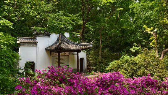 Nanshan Forest Park