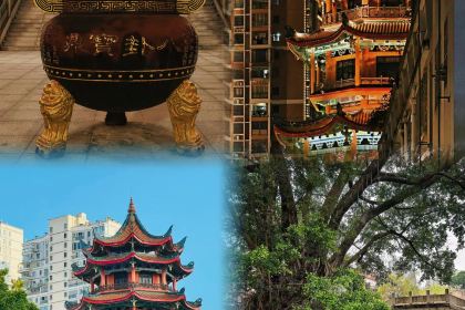 Li Tai Mang Yan Ju Shou Qiang Tui