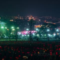 石磨坊 User Photo