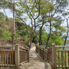 顶三峰餐厅(靖河路店) User Photo