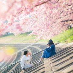 Morning Market cafeteria Nibankan User Photo