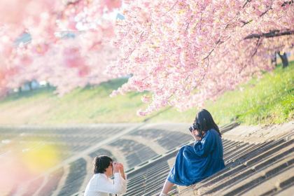 Morning Market cafeteria Nibankan