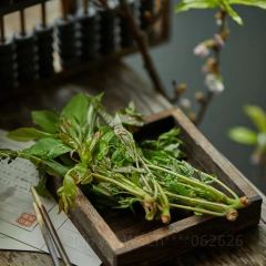 Dian Zhi Wei Jun Wang Fu Mushroom Cuisine (Fu jian Road Branch) User Photo