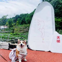 红军饭店 User Photo