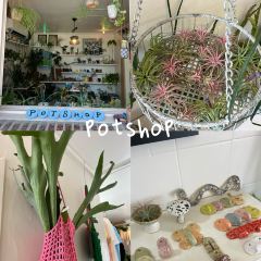 Having Moment User Photo