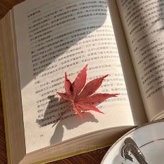 抚仙湖·自在汐岸咖啡餐吧 User Photo