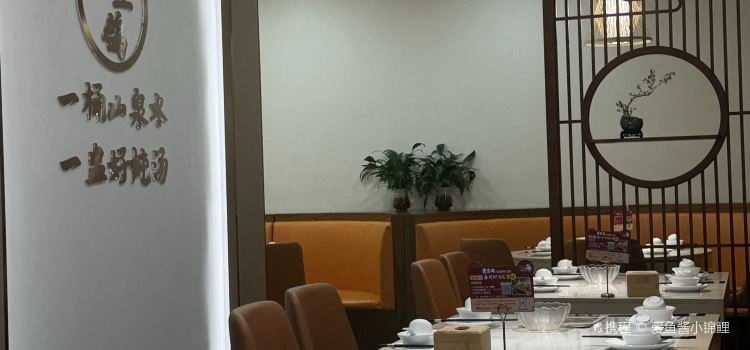 霸皇鸽