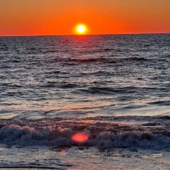 Waterman's Surfside Grille User Photo