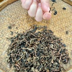 别馆 User Photo
