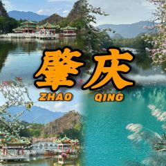 鼎湖山酒家 User Photo