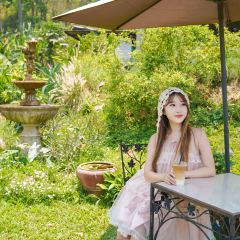 Elefin Farm & Cafe เอเลฟิน ฟาร์ม แอนด์ คาเฟ่ User Photo