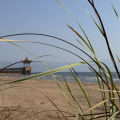 合院餐厅地主家 User Photo