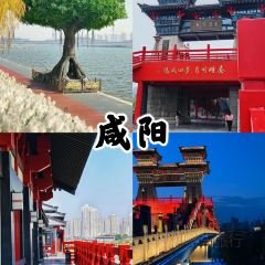 qi gai jiang lv (nan yang men dian) User Photo