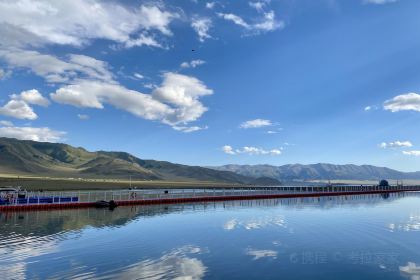 高白鲑鱼餐厅(赛湖月亮湾店)