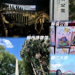 XIN SHI HUI User Photo