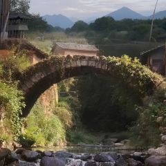 外婆灯盏盘 User Photo