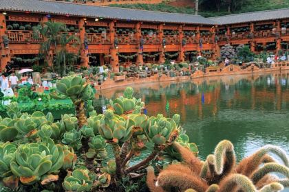 芋見張宜花園（鹽邊預告店）