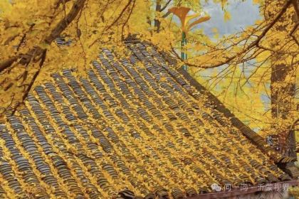 盘州·东湖里·假日酒店(东湖公园银杏广场店)·四季三食