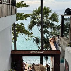 The Commune | Terrace & Bar User Photo