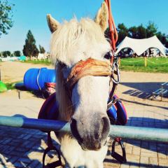 Happy Lamb Hot Pot User Photo
