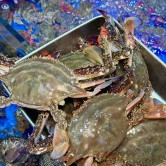 九號院子海鲜烧烤 User Photo