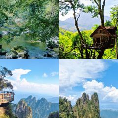 五指山亚泰雨林酒店·中餐厅 User Photo