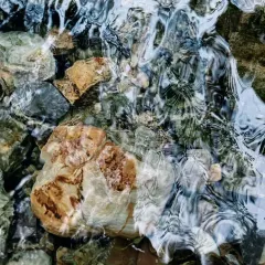 竹仔园牛仔农庄 User Photo