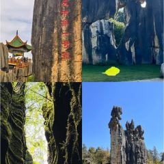 板桥陈记老燕凉卷粉 User Photo