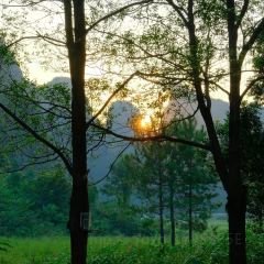 XIA NAN WA BAO JI User Photo