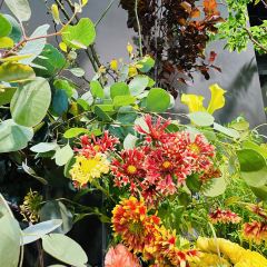 Aoyama Flower Market Green House User Photo
