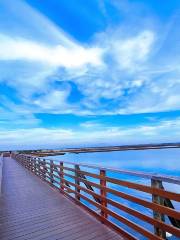 Bolsa Chica Ecological Reserve