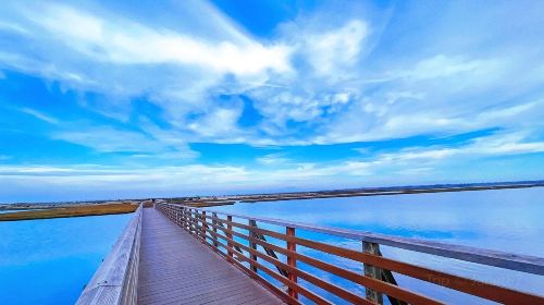 Bolsa Chica Ecological Reserve