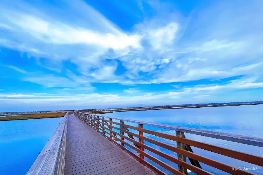 Bolsa Chica Ecological Reserve