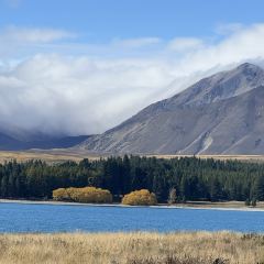 Ramen Tekapo User Photo