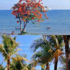 GROM·SURF·SHOP User Photo