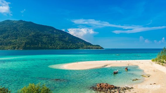 Kula WILD Adventure Park