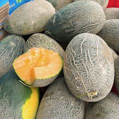 鱼众不同(博湖鱼庄分店) User Photo