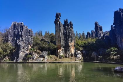 小箐味道(石林大道店)