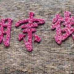 haxnbauer海森堡德国餐厅(长沙北辰三角洲大悦城店) 여행 사진