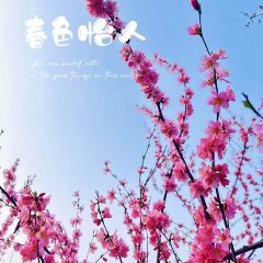 壹山树咖啡(海碧台店) User Photo