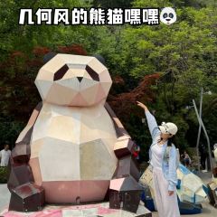 YUSHAOXIA User Photo