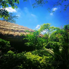 Manor Blanc User Photo