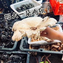 瓦珍野菜馆 여행 사진