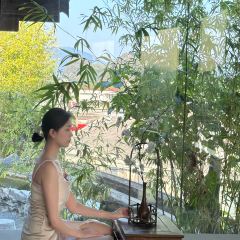 维纳斯皇家酒店(桂林两江四湖象鼻山店)·  田园小菜·桂林家常菜·高空观景餐厅 User Photo