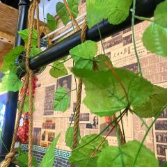 70後铁锅炖(坡博店)用戶圖片