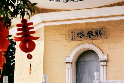 簕韵·簕菜奶茶(锦江国际店)