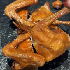 霸皇鸽 User Photo