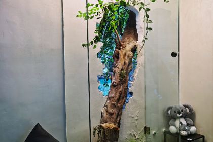 Laobaixing Local Restaurant