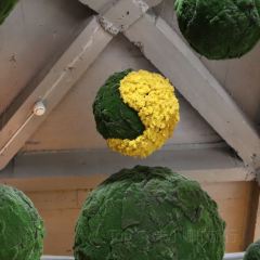 Hide&Seek User Photo