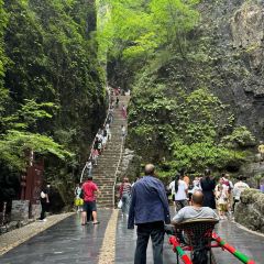 灶台鱼(自强街总店) User Photo